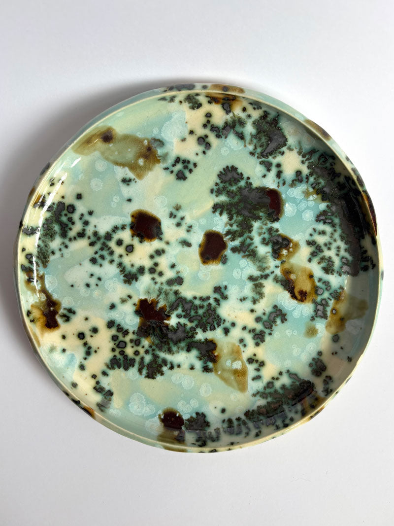 Green Sea Mist Plate